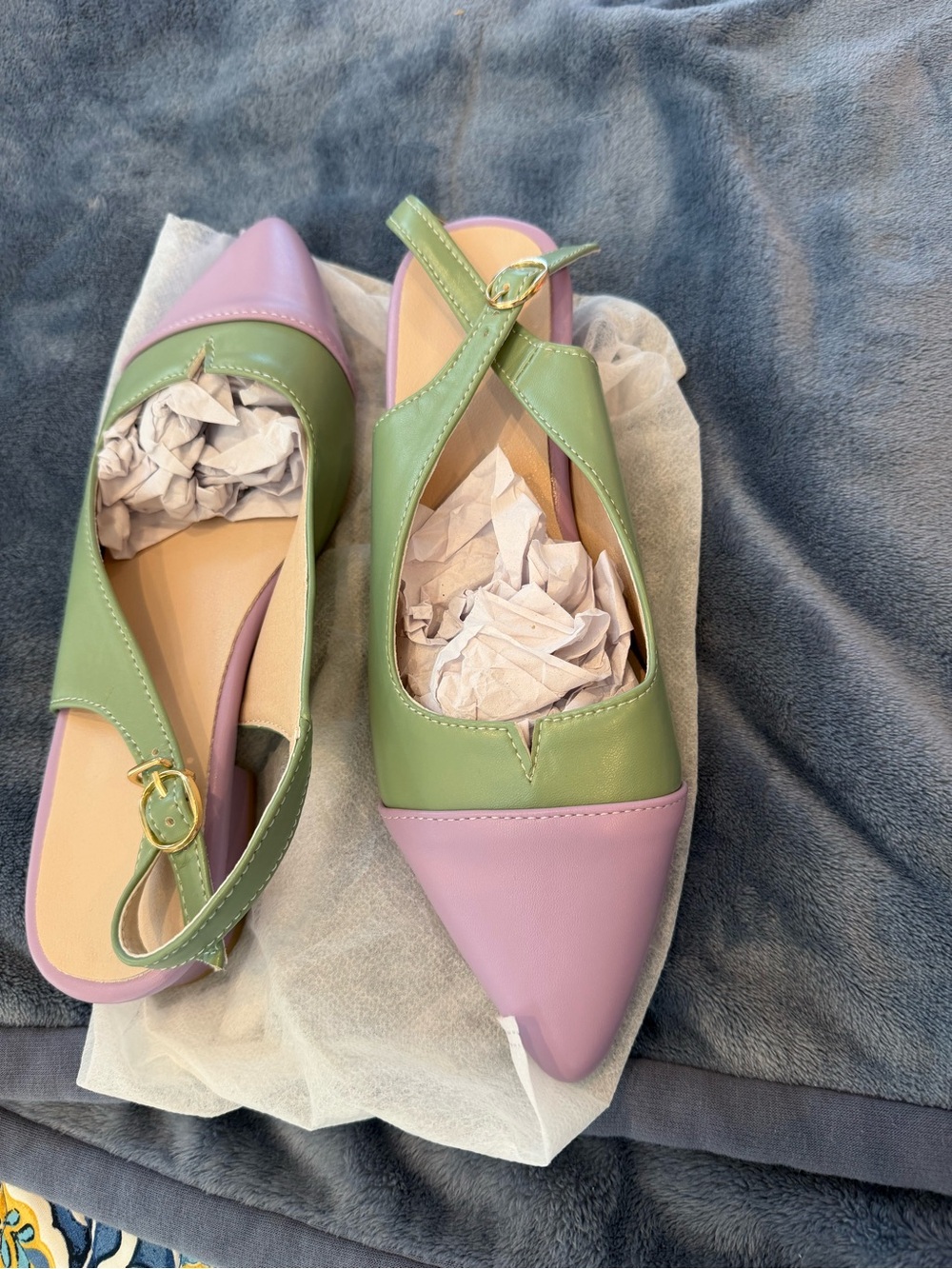 Pointed Two-Tone Slingback Flats in Green and Lavender